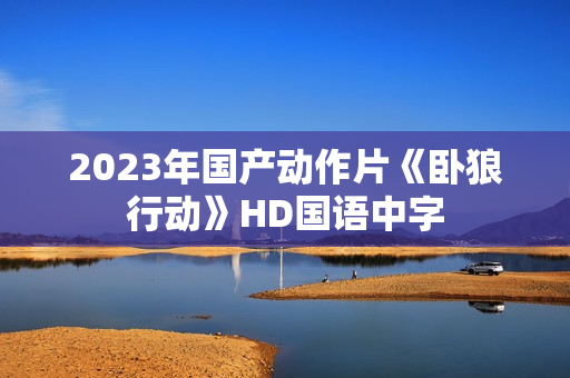 2023年国产动作片《卧狼行动》HD国语中字