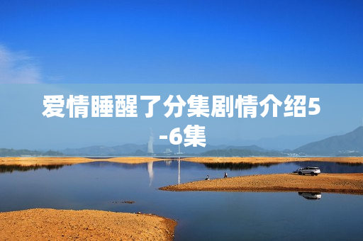 爱情睡醒了分集剧情介绍5-6集