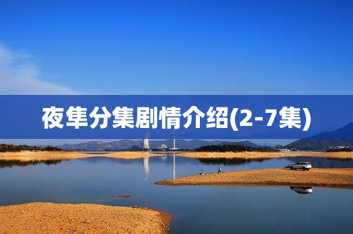 夜隼分集剧情介绍(2-7集)