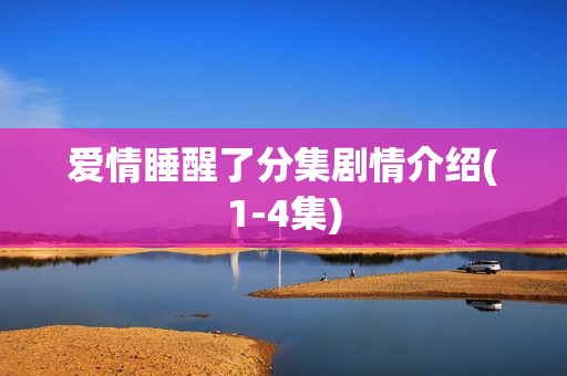 爱情睡醒了分集剧情介绍(1-4集) 爱情睡醒了分集剧情介绍(1-4集)