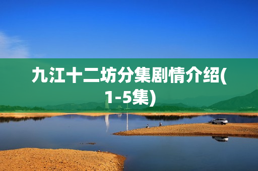 九江十二坊分集剧情介绍(1-5集)