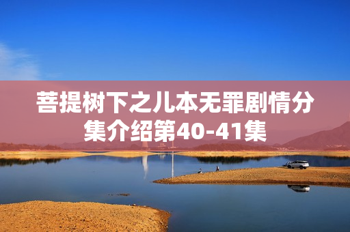 菩提树下之儿本无罪剧情分集介绍第40-41集