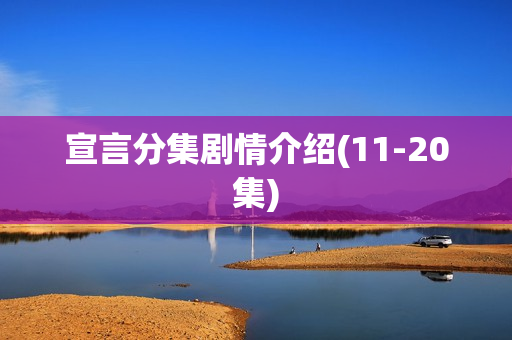 宣言分集剧情介绍(11-20集)