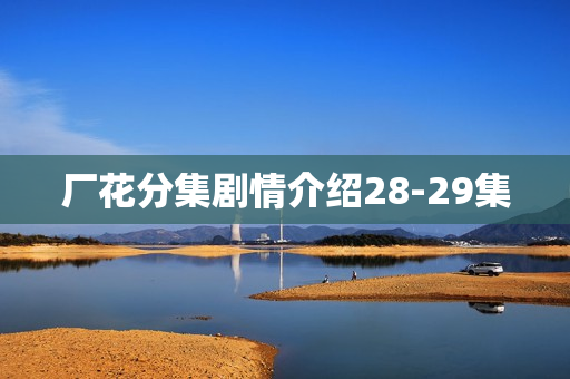 厂花分集剧情介绍28-29集