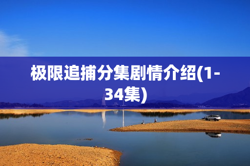 极限追捕分集剧情介绍(1-34集)