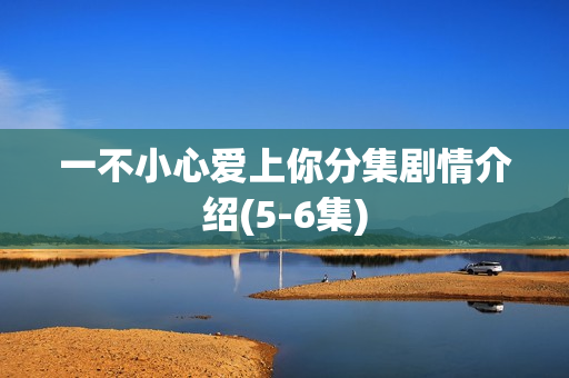 一不小心爱上你分集剧情介绍(5-6集)