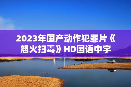 2023年国产动作犯罪片《怒火扫毒》HD国语中字