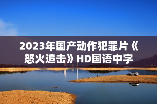 2023年国产动作犯罪片《怒火追击》HD国语中字