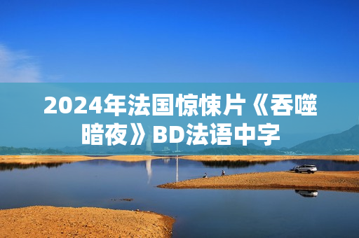 2024年法国惊悚片《吞噬暗夜》BD法语中字
