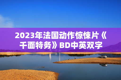 2023年法国动作惊悚片《千面特务》BD中英双字