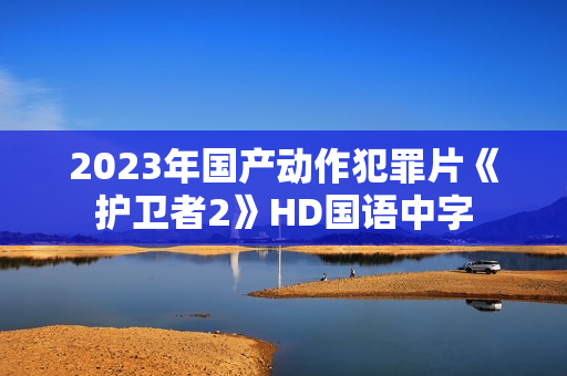 2023年国产动作犯罪片《护卫者2》HD国语中字