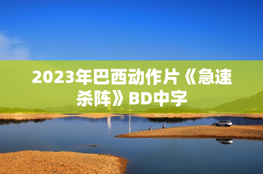 2023年巴西动作片《急速杀阵》BD中字