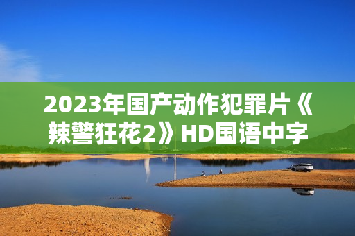 2023年国产动作犯罪片《辣警狂花2》HD国语中字