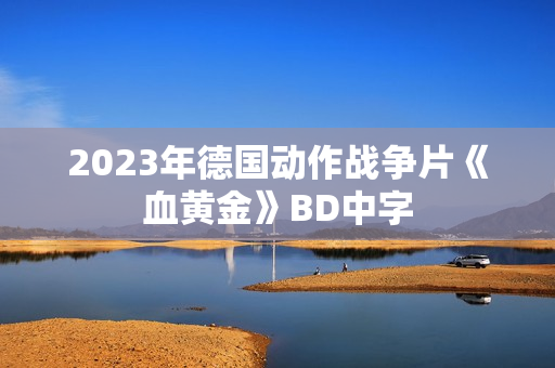 2023年德国动作战争片《血黄金》BD中字