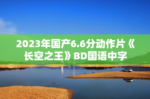 2023年国产6.6分动作片《长空之王》BD国语中字