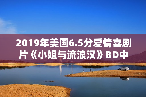 2019年美国6.5分爱情喜剧片《小姐与流浪汉》BD中英双字