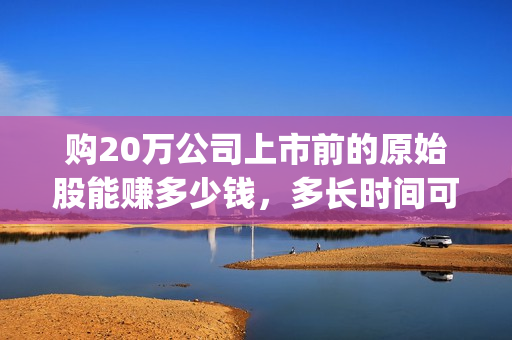 购20万公司上市前的原始股能赚多少钱，多长时间可以套现？(购入m上市公司的股票200万股)