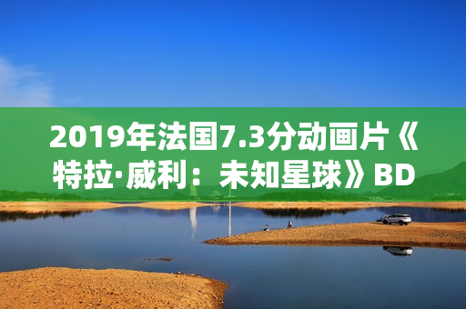 2019年法国7.3分动画片《特拉·威利：未知星球》BD国法双语中字