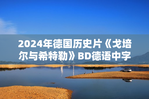 2024年德国历史片《戈培尔与希特勒》BD德语中字