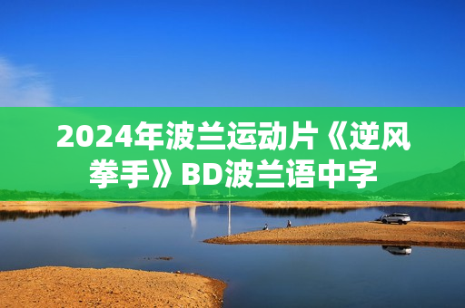 2024年波兰运动片《逆风拳手》BD波兰语中字