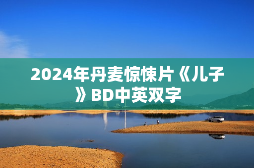 2024年丹麦惊悚片《儿子》BD中英双字