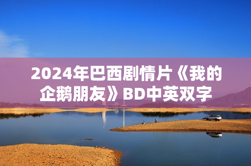 2024年巴西剧情片《我的企鹅朋友》BD中英双字