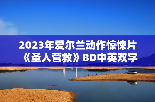 2023年爱尔兰动作惊悚片《圣人营救》BD中英双字