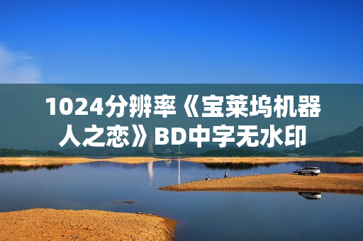 1024分辨率《宝莱坞机器人之恋》BD中字无水印