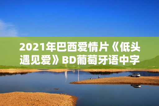 2021年巴西爱情片《低头遇见爱》BD葡萄牙语中字