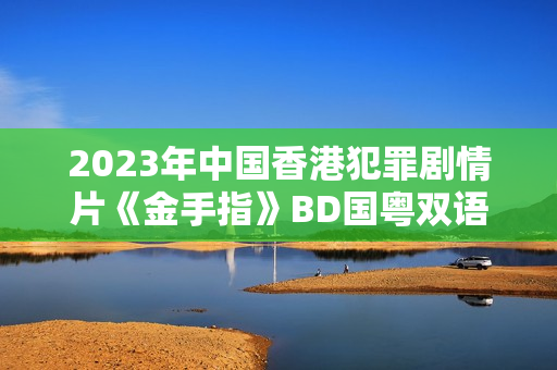 2023年中国香港犯罪剧情片《金手指》BD国粤双语中字