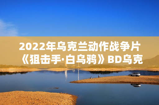 2022年乌克兰动作战争片《狙击手·白乌鸦》BD乌克兰语中字