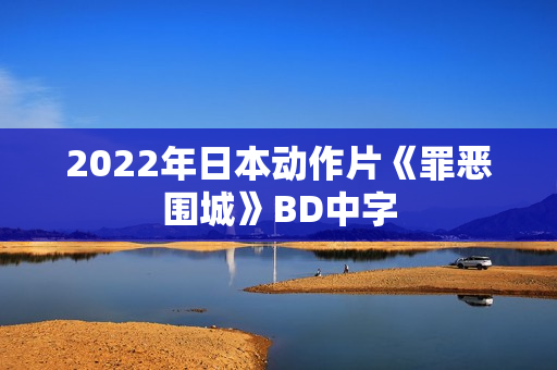 2022年日本动作片《罪恶围城》BD中字