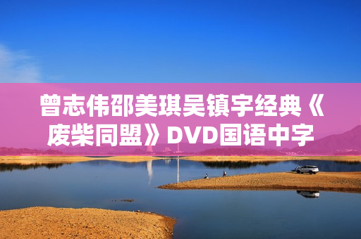曾志伟邵美琪吴镇宇经典《废柴同盟》DVD国语中字