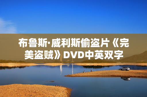 布鲁斯·威利斯偷盗片《完美盗贼》DVD中英双字