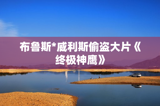 布鲁斯*威利斯偷盗大片《终极神鹰》