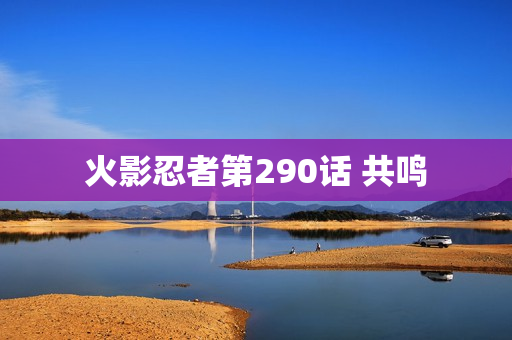 火影忍者第290话 共鸣