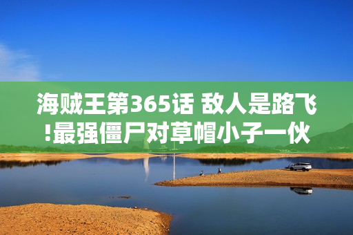 海贼王第365话 敌人是路飞!最强僵尸对草帽小子一伙