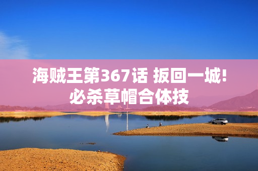 海贼王第367话 扳回一城!必杀草帽合体技