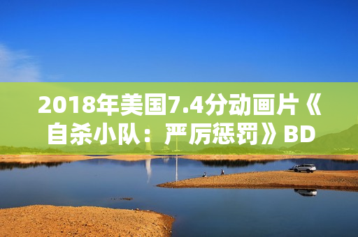 2018年美国7.4分动画片《自杀小队：严厉惩罚》BD中字