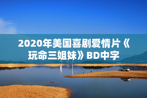 2020年美国喜剧爱情片《玩命三姐妹》BD中字