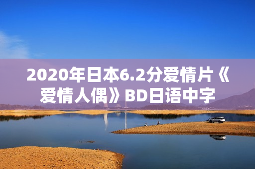 2020年日本6.2分爱情片《爱情人偶》BD日语中字