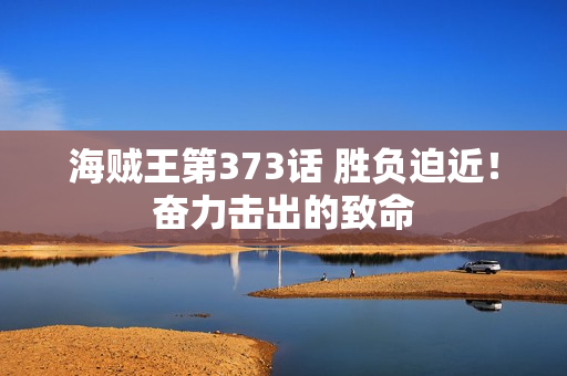 海贼王第373话 胜负迫近！奋力击出的致命
