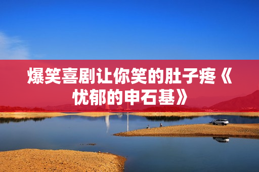 爆笑喜剧让你笑的肚子疼《忧郁的申石基》