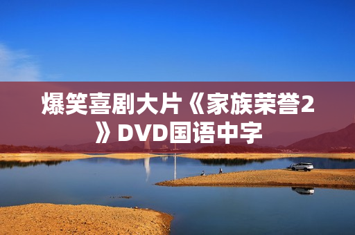 爆笑喜剧大片《家族荣誉2》DVD国语中字