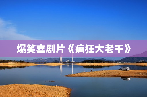 爆笑喜剧片《疯狂大老千》