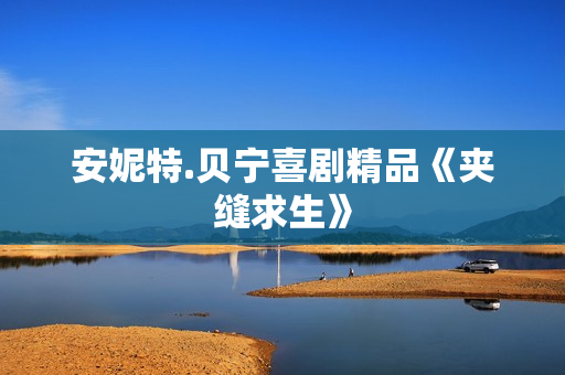 安妮特.贝宁喜剧精品《夹缝求生》 安妮特.贝宁喜剧精品《夹缝求生》