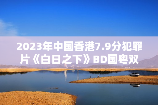 2023年中国香港7.9分犯罪片《白日之下》BD国粤双语中字
