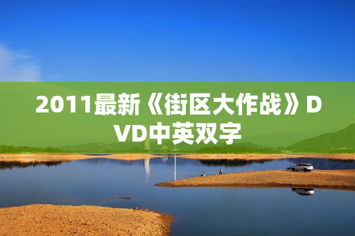 2011最新《街区大作战》DVD中英双字