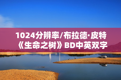1024分辨率/布拉德·皮特《生命之树》BD中英双字