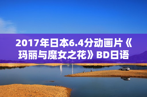 2017年日本6.4分动画片《玛丽与魔女之花》BD日语中字